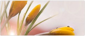 Tablou - Flori de primăvară (120x50 cm)