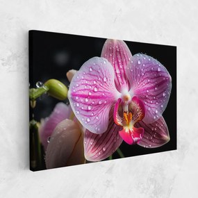 Tablou Canvas, 90x140cm, Dormitor si Living, Flori, Orhidee, Pretty Orchid After Rain