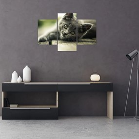 Tablou cu pisicuța (90x60 cm)