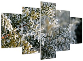 Tablou - Detaliu ramură (150x105 cm)