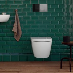 Buton H pentru cadru WC Crom, Rea