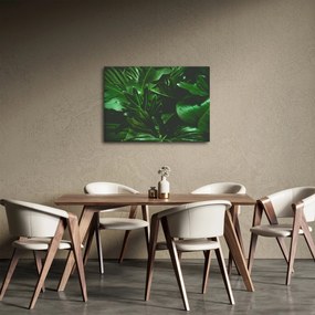 Tablou - Frunze de palmier (70x50 cm)