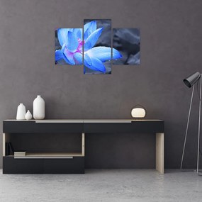 Tablou florilor în detailu (90x60 cm)