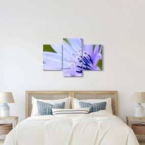 Tablou - Floare (90x60 cm)