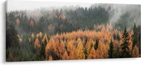 Tablou - Pădure toamna (120x50 cm)
