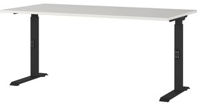 Birou reglabil 80x160 cm Agenda – Germania