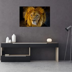 Tablou - Portret de leu (90x60 cm)