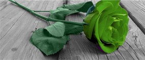 Tablou - Trandafir verde (120x50 cm)