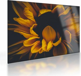 Tablou pe sticlă - Floarea-soarelui în fundal negru (70x50 cm)