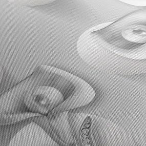 Tablou -Design flori (cu ceas) (90x30 cm)