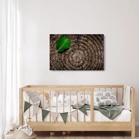 Tablou cu frunză pe trunchi de copac (90x60 cm)