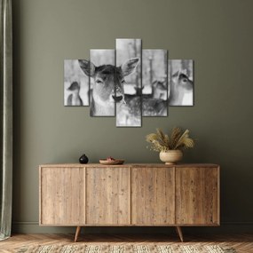 Tablou - Cerbi,alb-negru (150x105 cm)