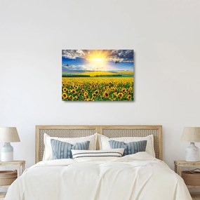 Tablou pe sticlă - Câmp cu floarea soarelui (70x50 cm)