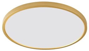 Plafoniera LED moderna design slim CAMI 50cm, auriu