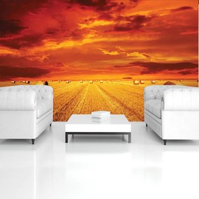 Fototapet - Câmp (152,5x104 cm)