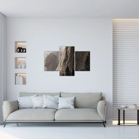 Tablou din valea Yosemite parcul național, SUA (90x60 cm)