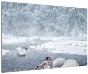 Tablou cu lebăde (90x60 cm)