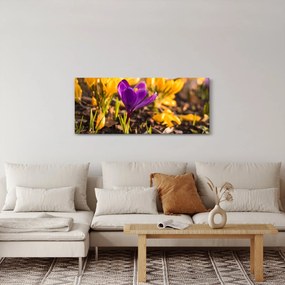 Tablou cu floare violetă (120x50 cm)