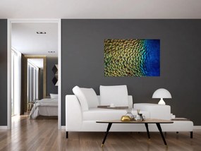 Tablou - Pene de păun (90x60 cm)