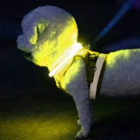 Zgardă luminoasă pentru câini - Purlov 24200