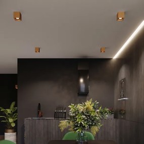 Spot de perete Sollux Sl.1183 QUAD 1xG9/8W/230V auriu