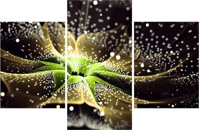 Tablou - Detaliu florii (90x60 cm)