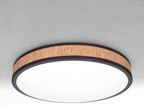 Plafonieră LED dimabilă Brilagi ROSA LED/48W/230V 3000-6500K + telecomandă