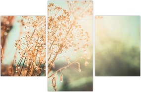 Tablou - Plante de luncă (90x60 cm)