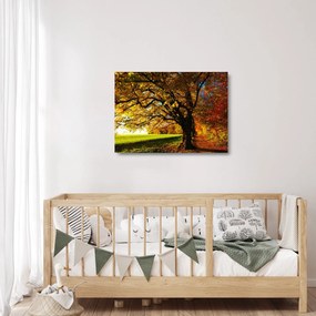 Tablou pe sticlă cu copac toamna (70x50 cm)