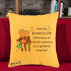Cadou pentru Bunici - Perna Personalizata Bunicii Iubirea Infloreste Bunici cu Nepoata Colorat, 40x40 cm, Galben, Husa Detasabila, Perna Inclusa, BEKZ®