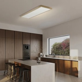 Brilagi-LED Aplica LED de baie dimabilă FRAME SMART LED/50W/230V 120x30 IP44 + telecomandă