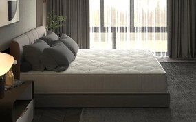 Saltea cu Spuma Memorie SilverCare, Grosime 24 cm, Husă cu Ioni de Argint, cu Mânere, Fermitate Medie - 200x200