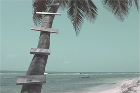 Tablou - Palma în Caraibe (90x60 cm)