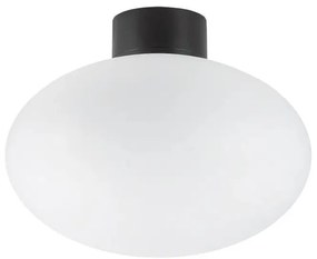 Ideal Lux - Plafonieră exterior CLIO 1xE27/42W/230V IP44 negru
