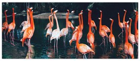 Tablou - turmă de flamingo (120x50 cm)