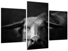 Tablou - Vacă (90x60 cm)