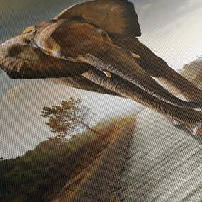 Tablou cu elefant (90x60 cm)
