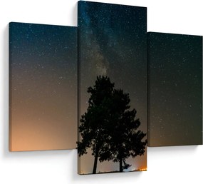 Tablou cu cerul nocturn și copaci (90x60 cm)