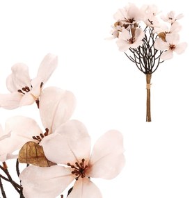 Magnolie albă, 6 ramuri în buchet, 30 x 43 cm