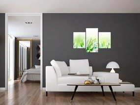 Tablou - Ghiocei (90x60 cm)