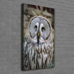Print pe canvas Bufniţă