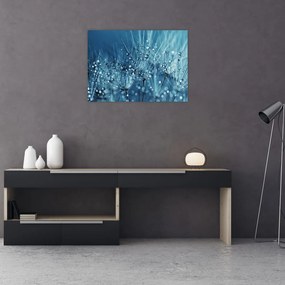 Tablou - Picături de rouă (70x50 cm)