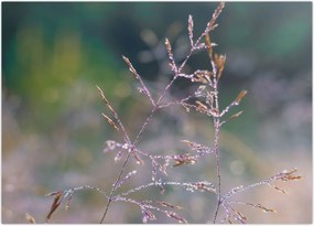 Tablou - Detaliu timp (70x50 cm)