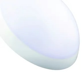 Plafonieră tehnică ROMANA 1xE27/100W/230V IP64 Fulgur 20994