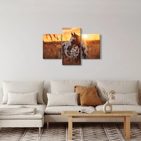 Tablou - Cal la Apus (90x60 cm)