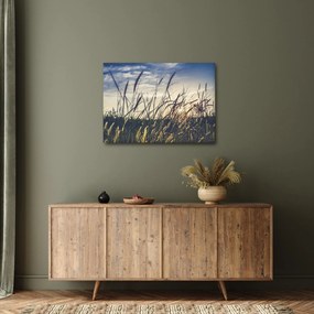 Tablou cu flori de câmp (70x50 cm)