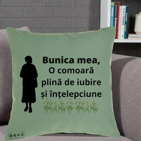Cadou pentru Bunica - Perna Personalizata Bunica Mea Comoara Iubire Intelepciune Silueta cu Nepoata, 40x40 cm, Verde, Husa Detasabila, Perna Inclusa, BEKZ®