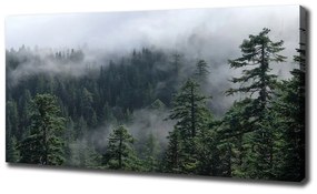 Imprimare tablou canvas Ceață pădure