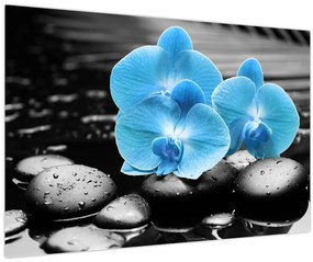 Tablou - Orhidee albastră (90x60 cm)