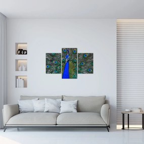 Tablou - Păun (90x60 cm)